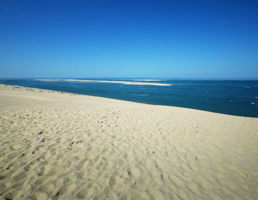 Le Banc d' Arguin Le Banc d' Arguin