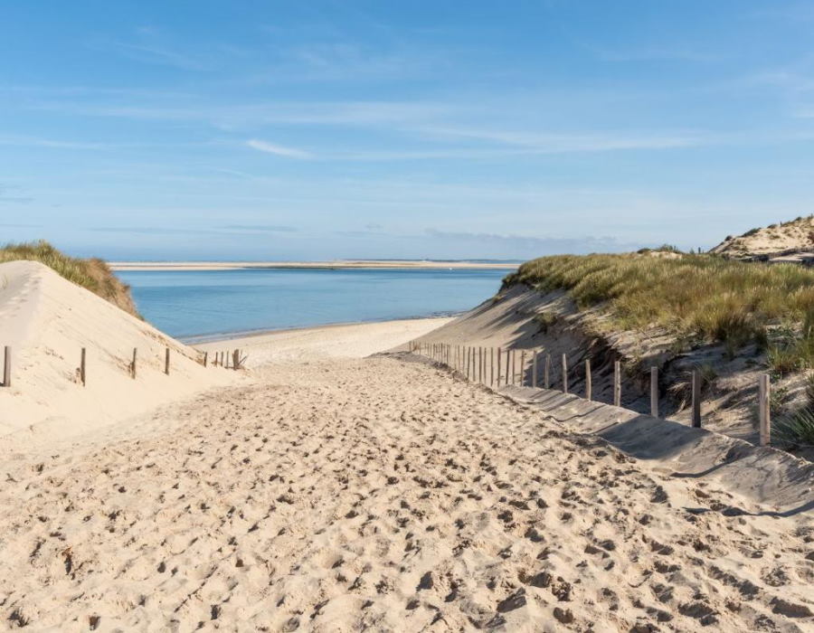 Plage du Petit-Nice Plage du Petit-Nice
